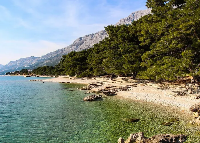 Mobile Homes Holiday Dream 3*